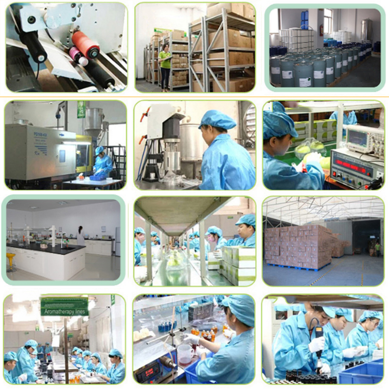 CAIFEDE wholesale reed diffuser266655.jpg CAIFEDE wholesale reed diffuser.jpg